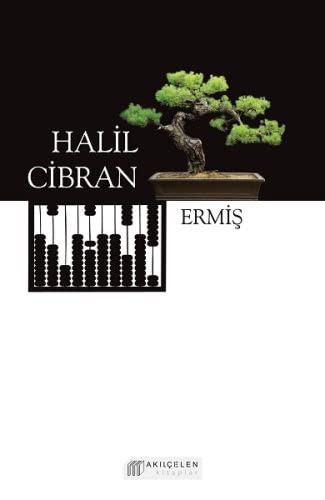 Ermiş kitap kapağı