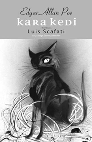 Kara Kedi kitap kapağı
