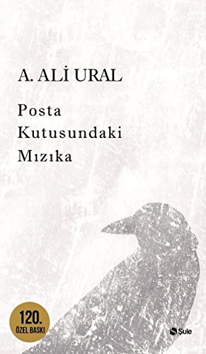 Posta Kutusundaki Mızıka kitap kapağı