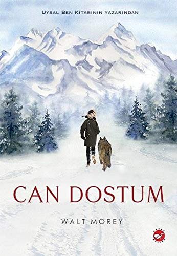 Can Dostum kitap kapağı
