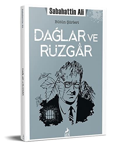 Dağlar ve Rüzgar kitap kapağı