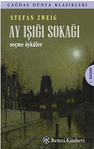 Ay Işığı Sokağı kitap kapağı